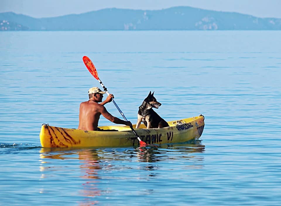 dog kayak
