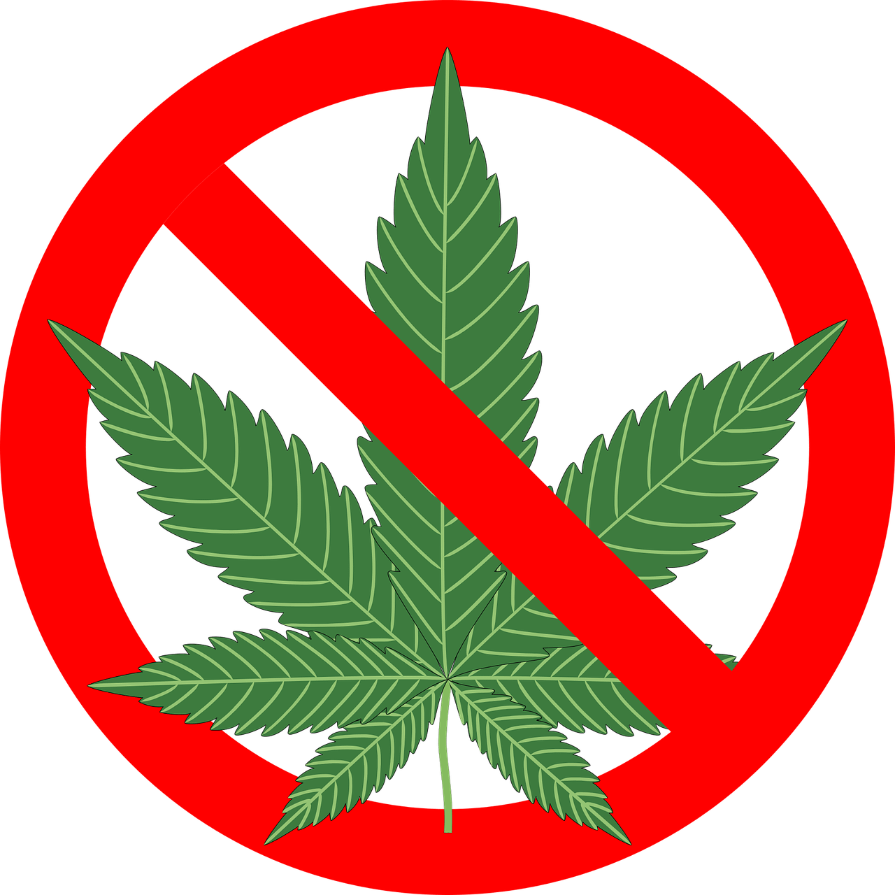 cannabis
